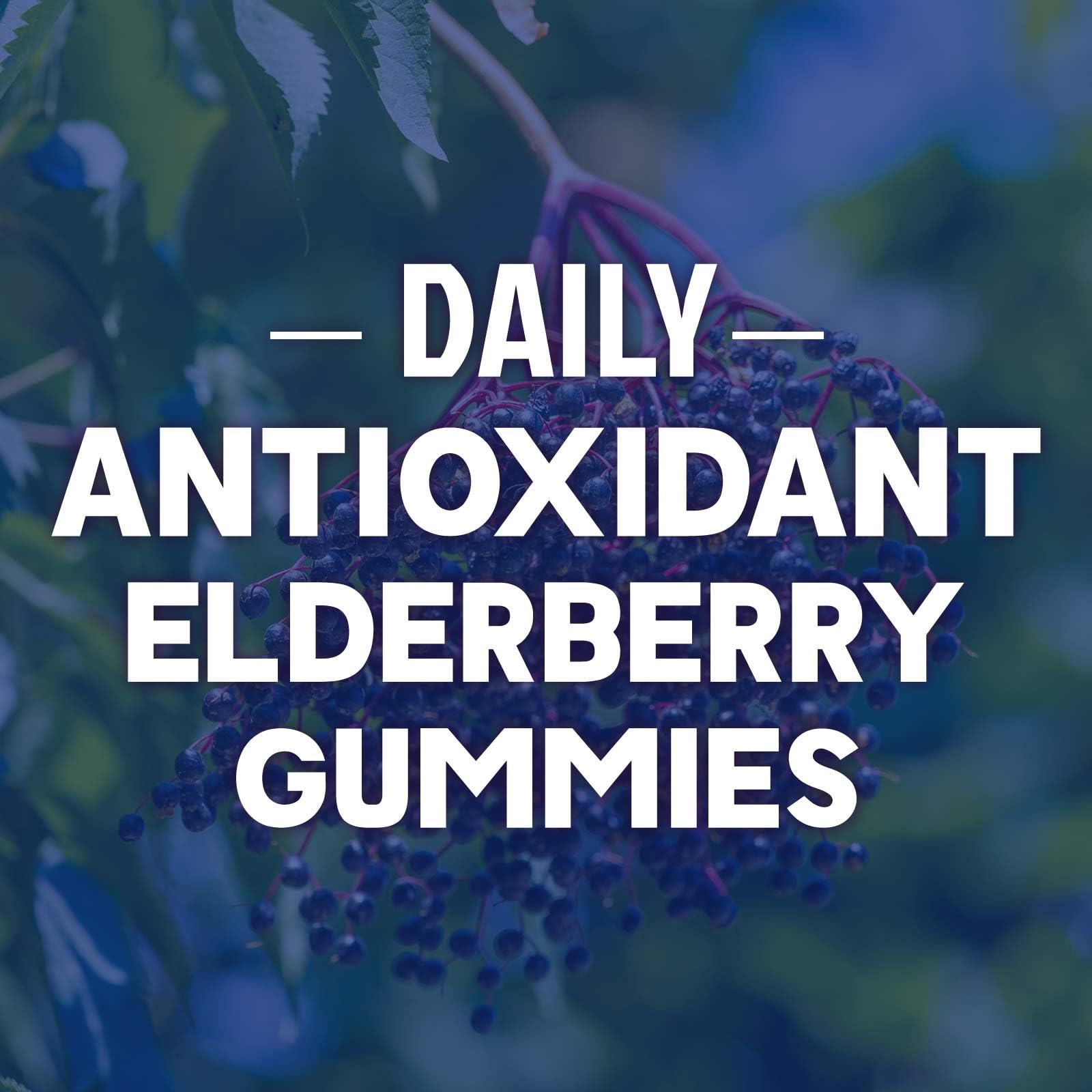 Nature's Nutrition Elderberry Gummies with vitamin C, D3, and zinc illustrate immune support blend