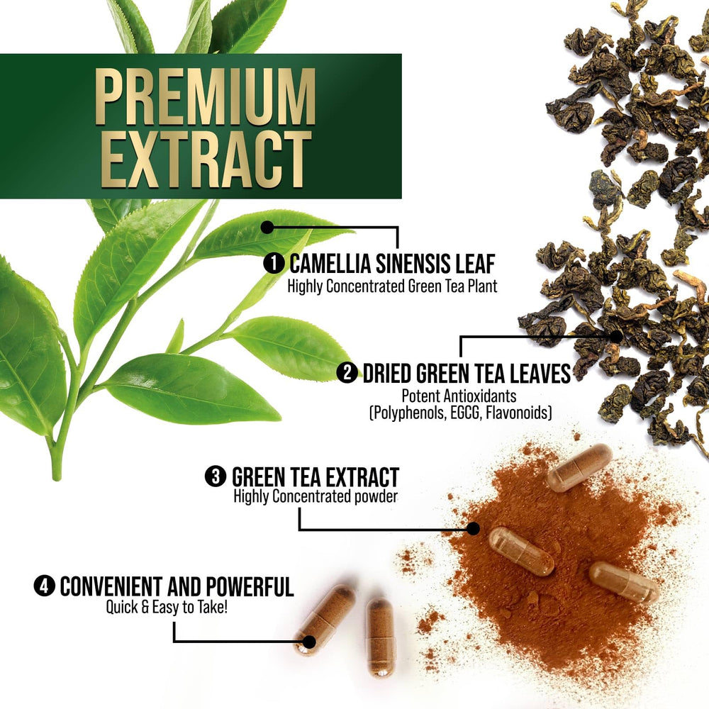 Nature's Nutrition green tea extract dispensed capsules showing daily intake