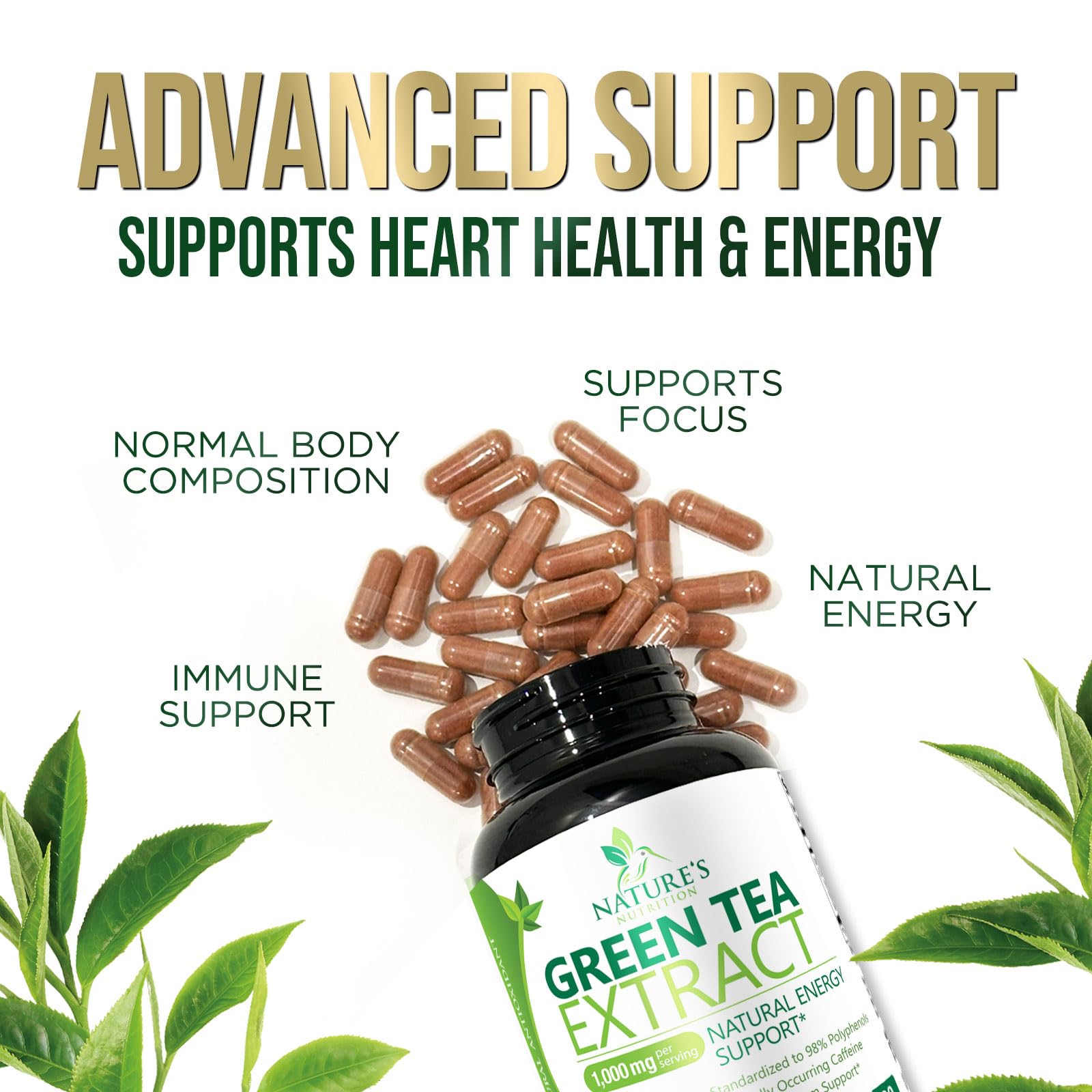 Nature's Nutrition green tea extract ingredients panel with caffeine and L-theanine