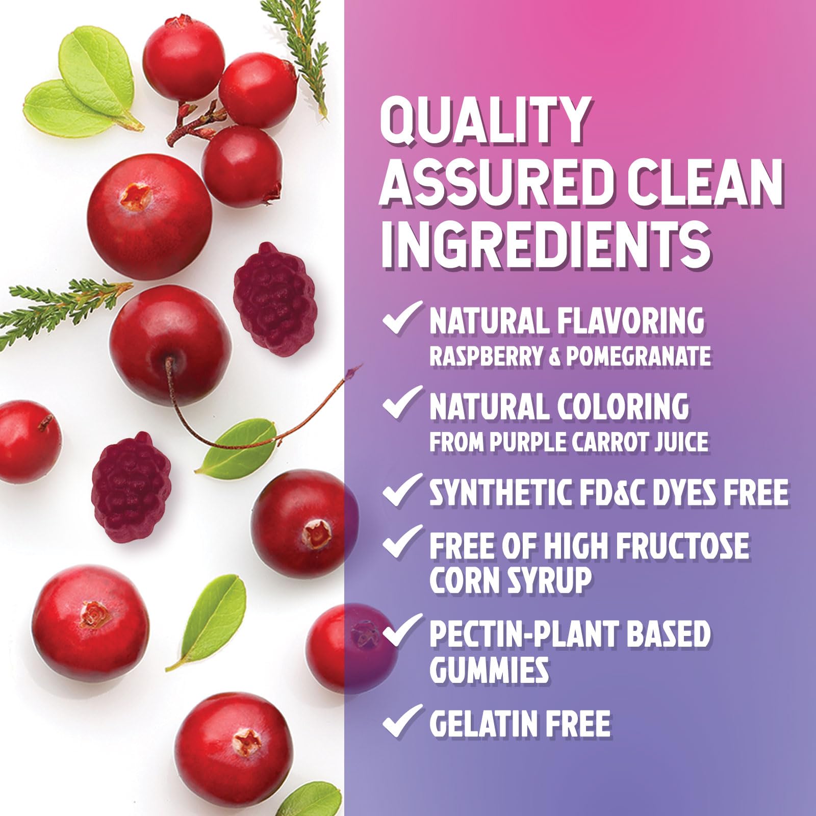 Nature's Nutrition Probiotics for Women bottle label features lactobacillus details