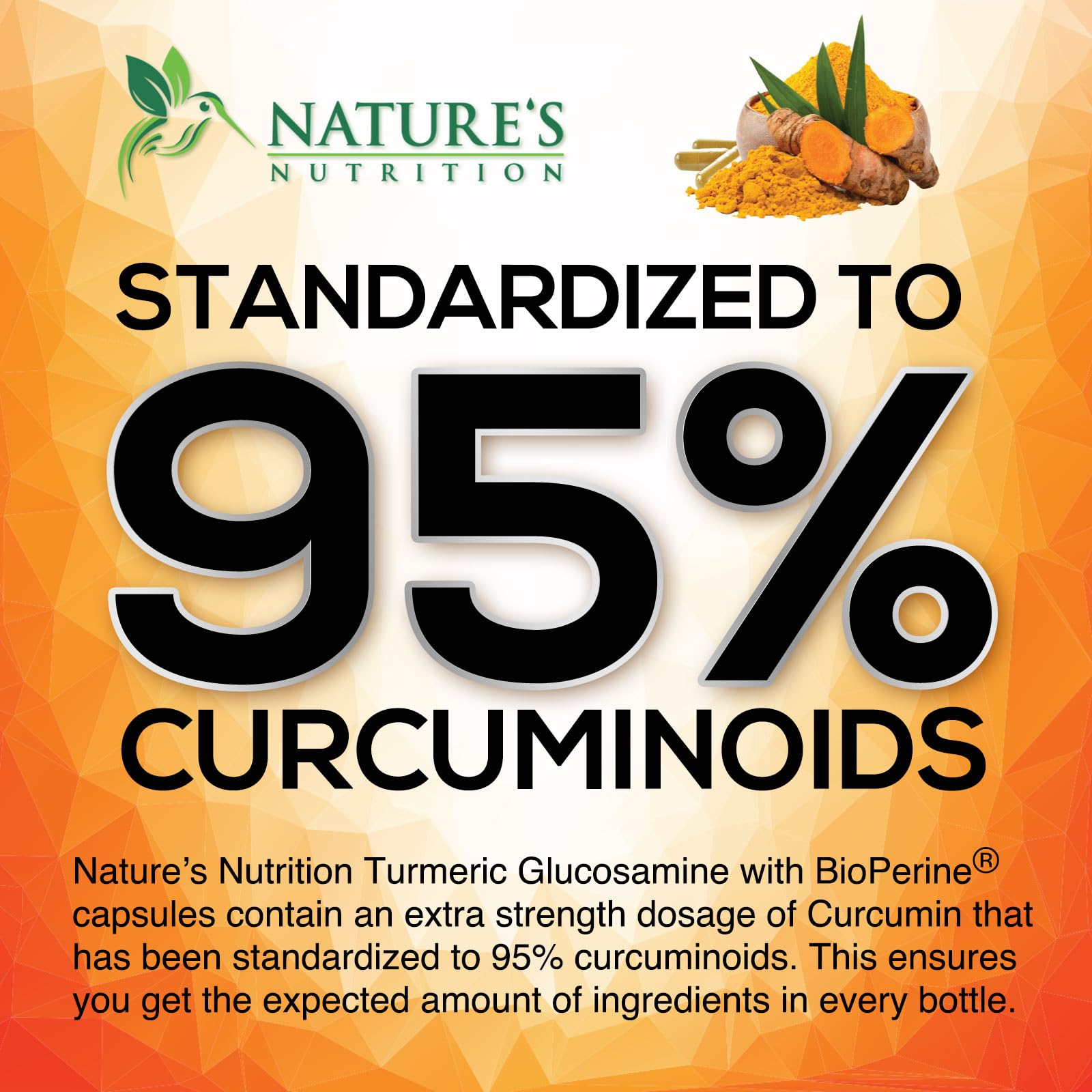 Nature's Nutrition Turmeric Curcumin bottle side view in compact packaging