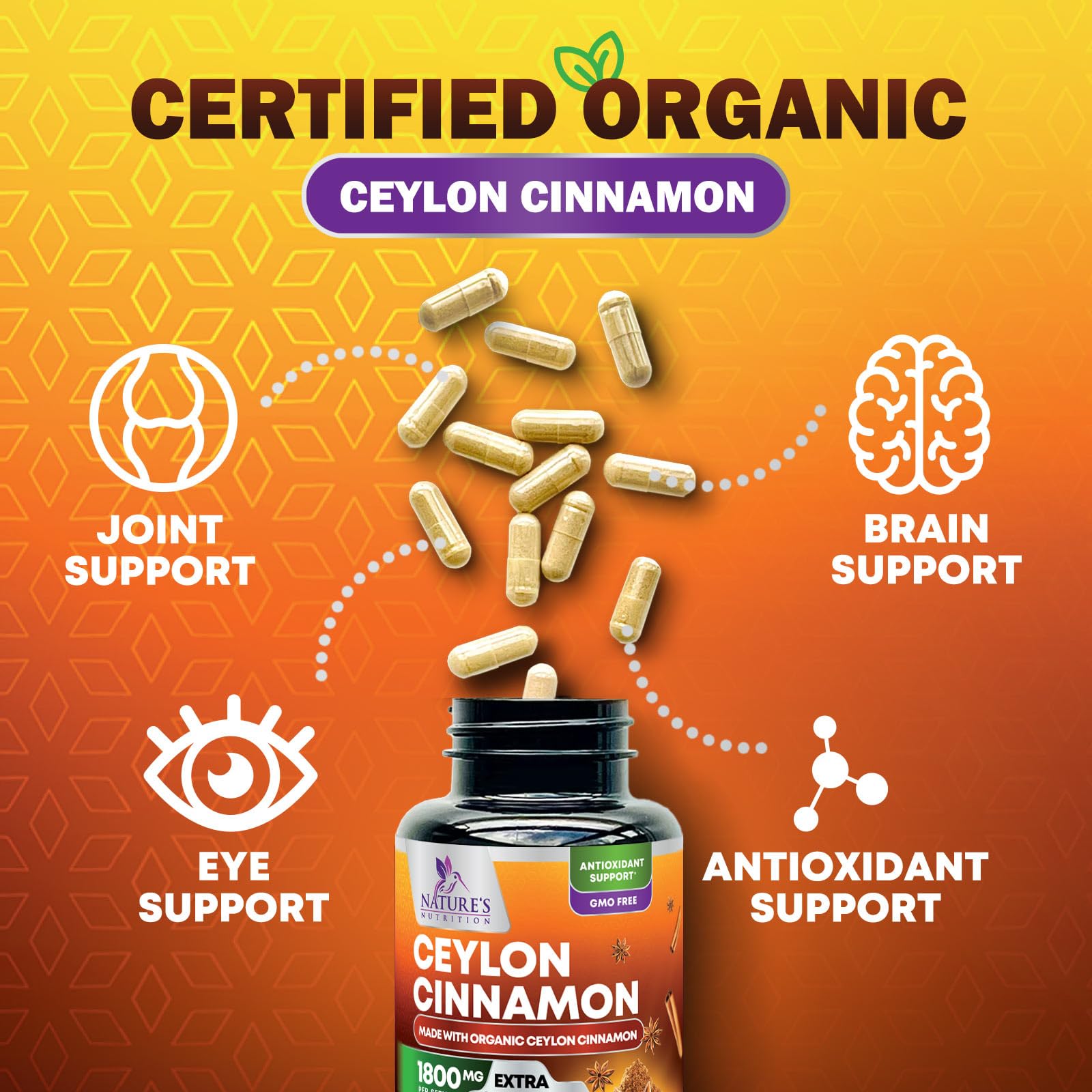 USA bottled Nature's Nutrition Cinnamon highlighting purity and quality.