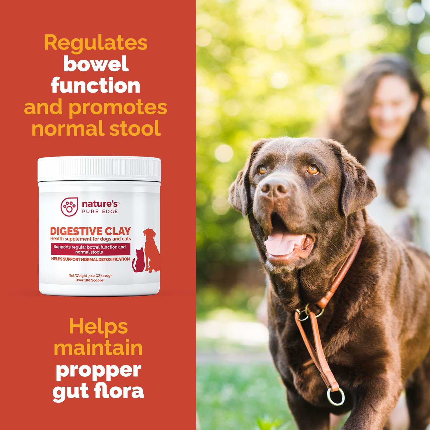 Nature's Pure Edge argile clinoptilolite, action naturelle contre irritants intestinaux.
