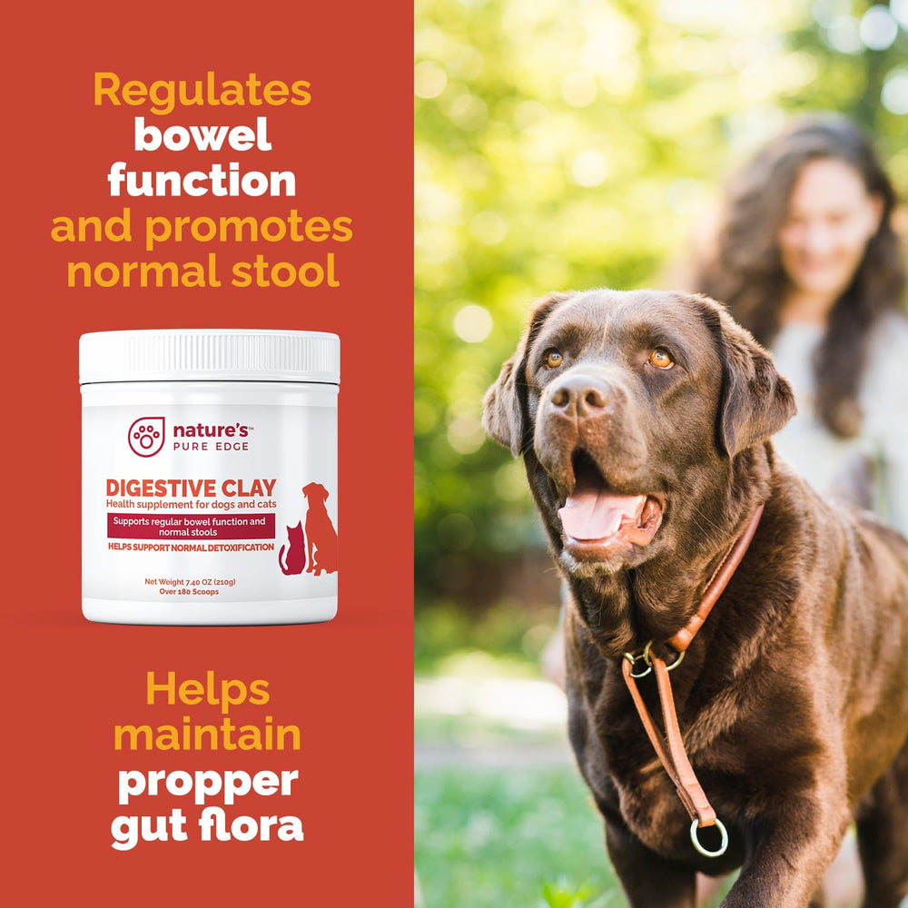 Nature's Pure Edge argile clinoptilolite, action naturelle contre irritants intestinaux.