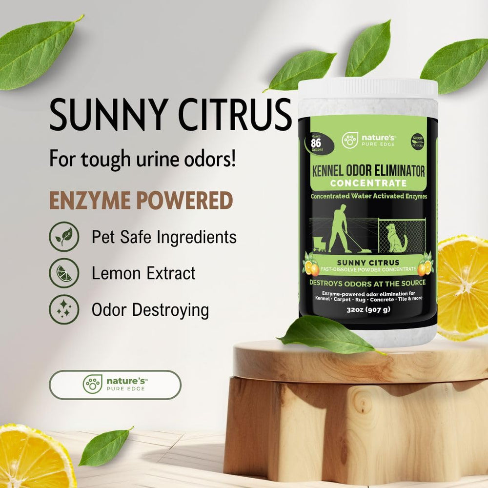 Nature's Pure Edge sunny citrus fragrance leaves fresh scent after cleaning