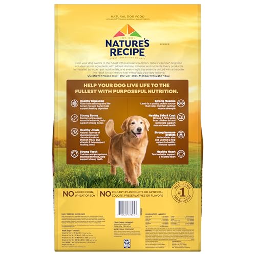 Nature's Recipe Mature Lamb kibble in a bowl with fresh veggies
