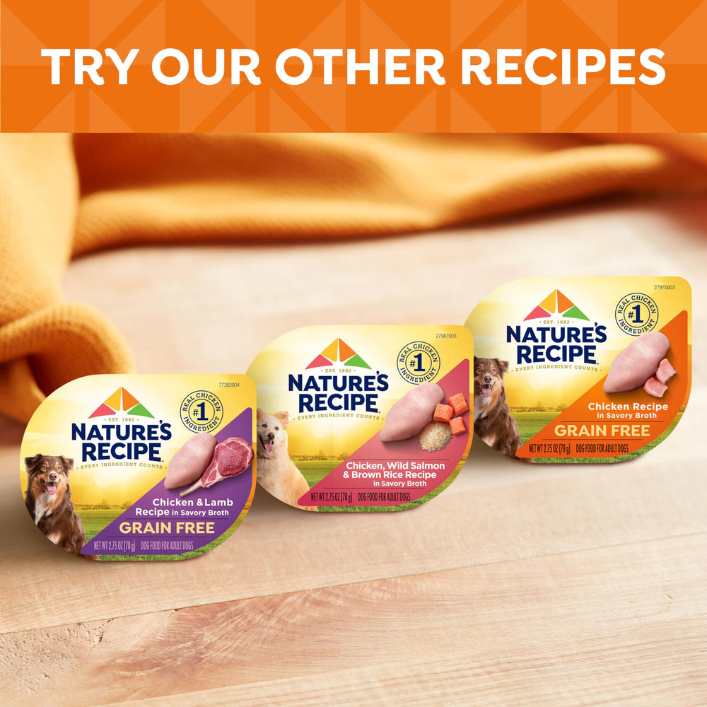 Nature’s Recipe adult dog serving bowl—easy mealtime convenience.