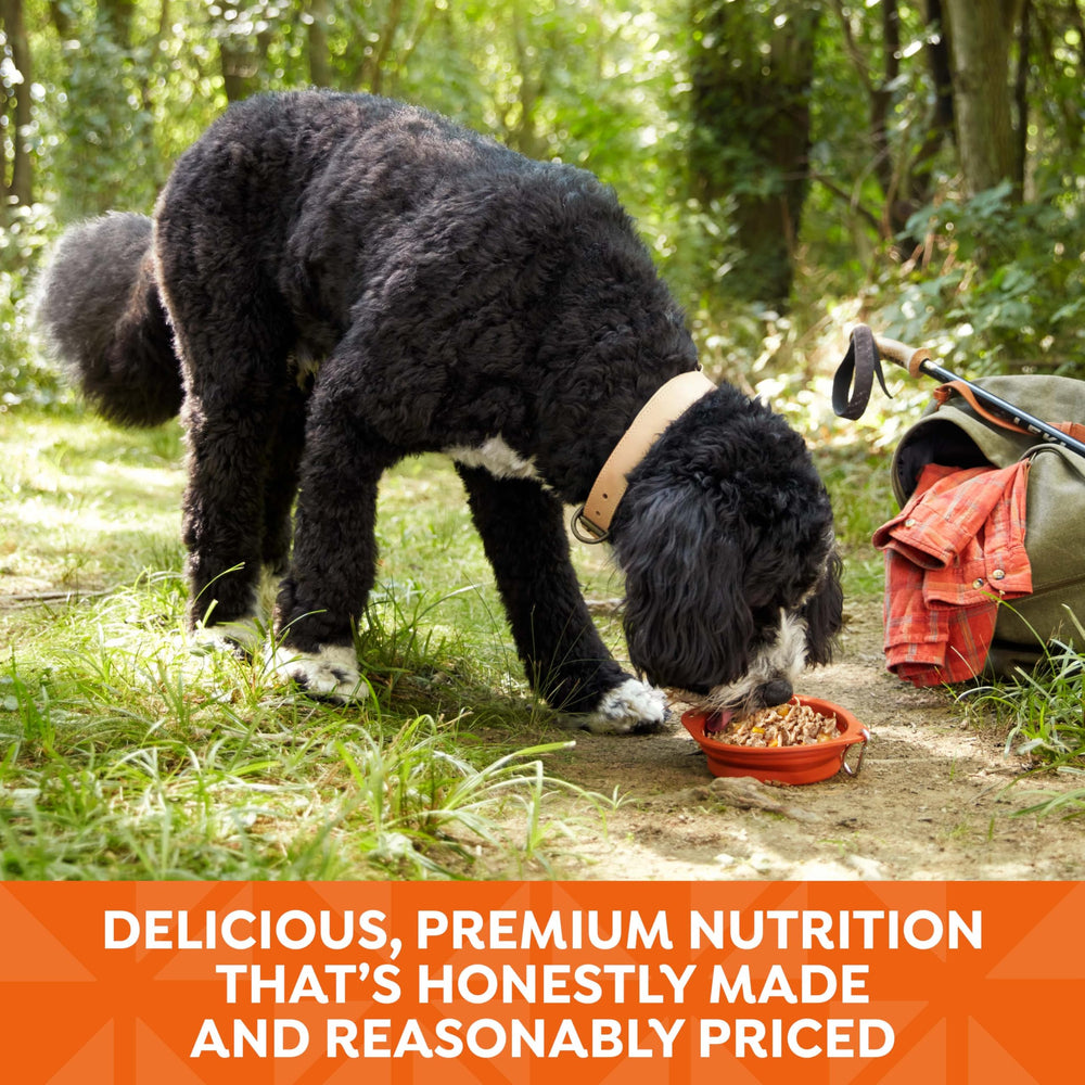 Nature's Recipe artificial flavors-free badge signaling natural ingredients.