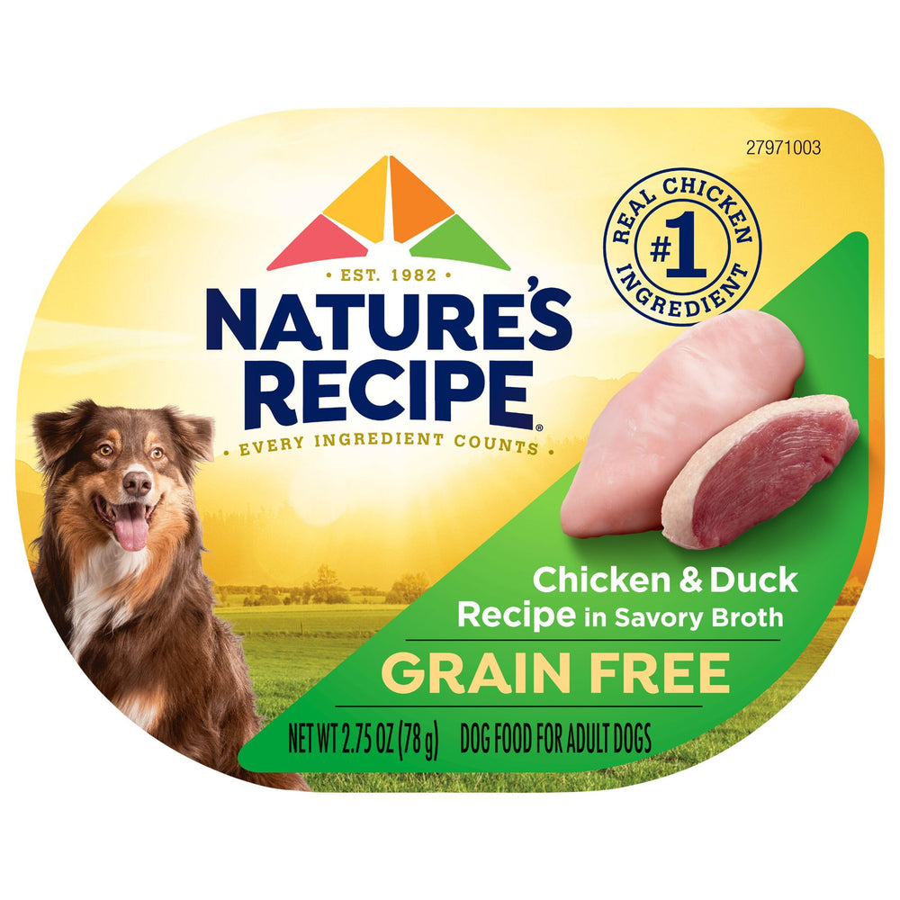 Nature’s Recipe brand logo on packaging—trusted pet nutrition brand.