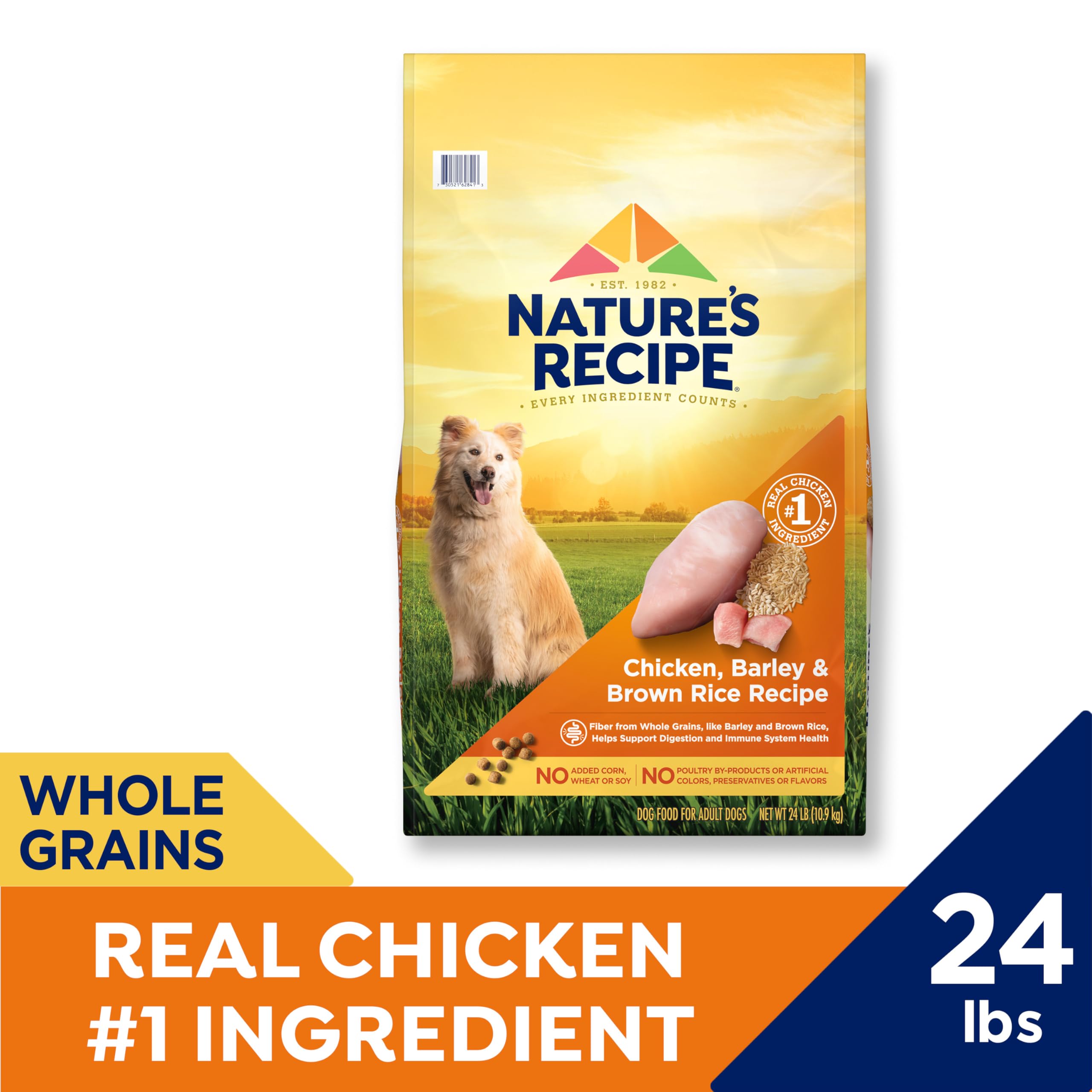 Nature's Recipe chicken-barley-brown-rice dry dog food kibble closeup showing textured pieces.