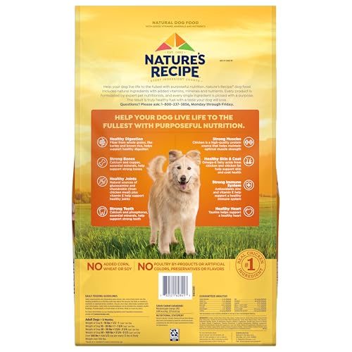 Nature's Recipe chicken-barley-brown-rice dry dog food kibble texture closeup for appetite appeal.