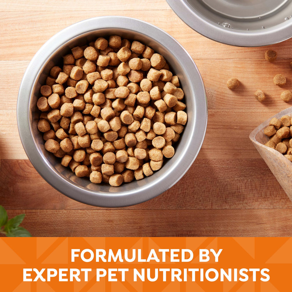 Nature's Recipe chicken-barley-brown-rice dry dog food with measuring cup indicates serving portions.