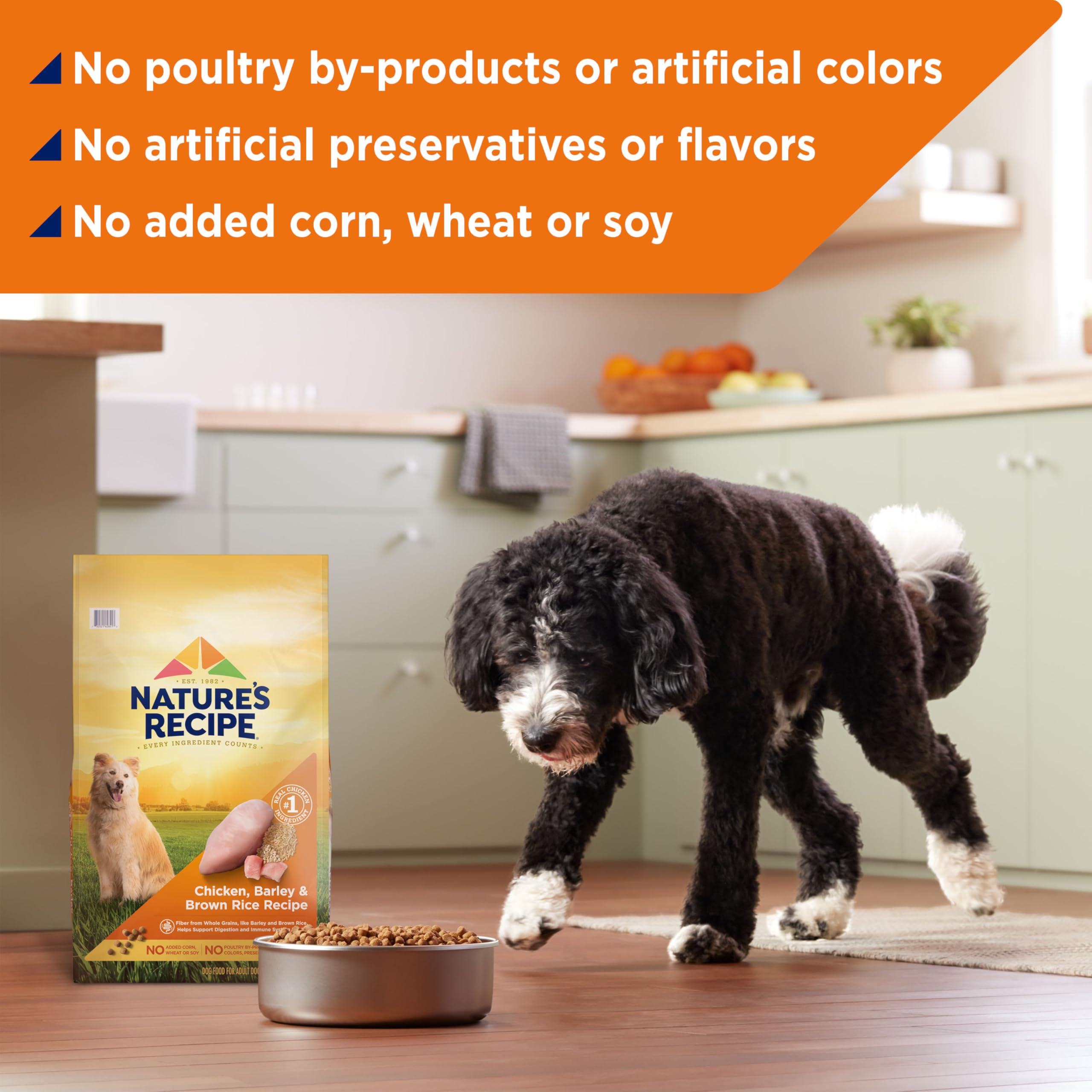 Nature's Recipe chicken-barley-brown-rice dry dog food serving dish ready for mealtime.