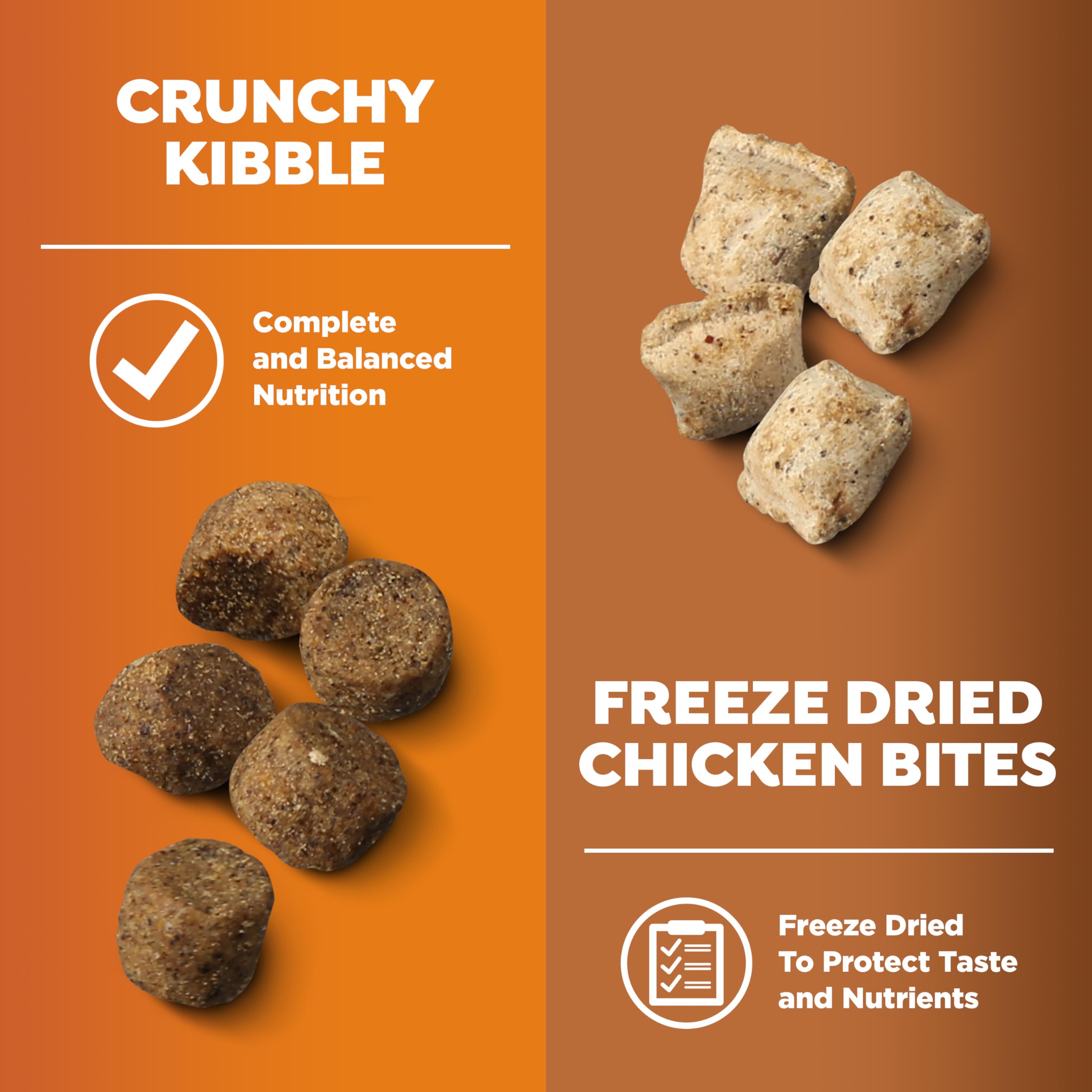 Texture view of chicken bites and crunchy kibble in Nature's Recipe blend.