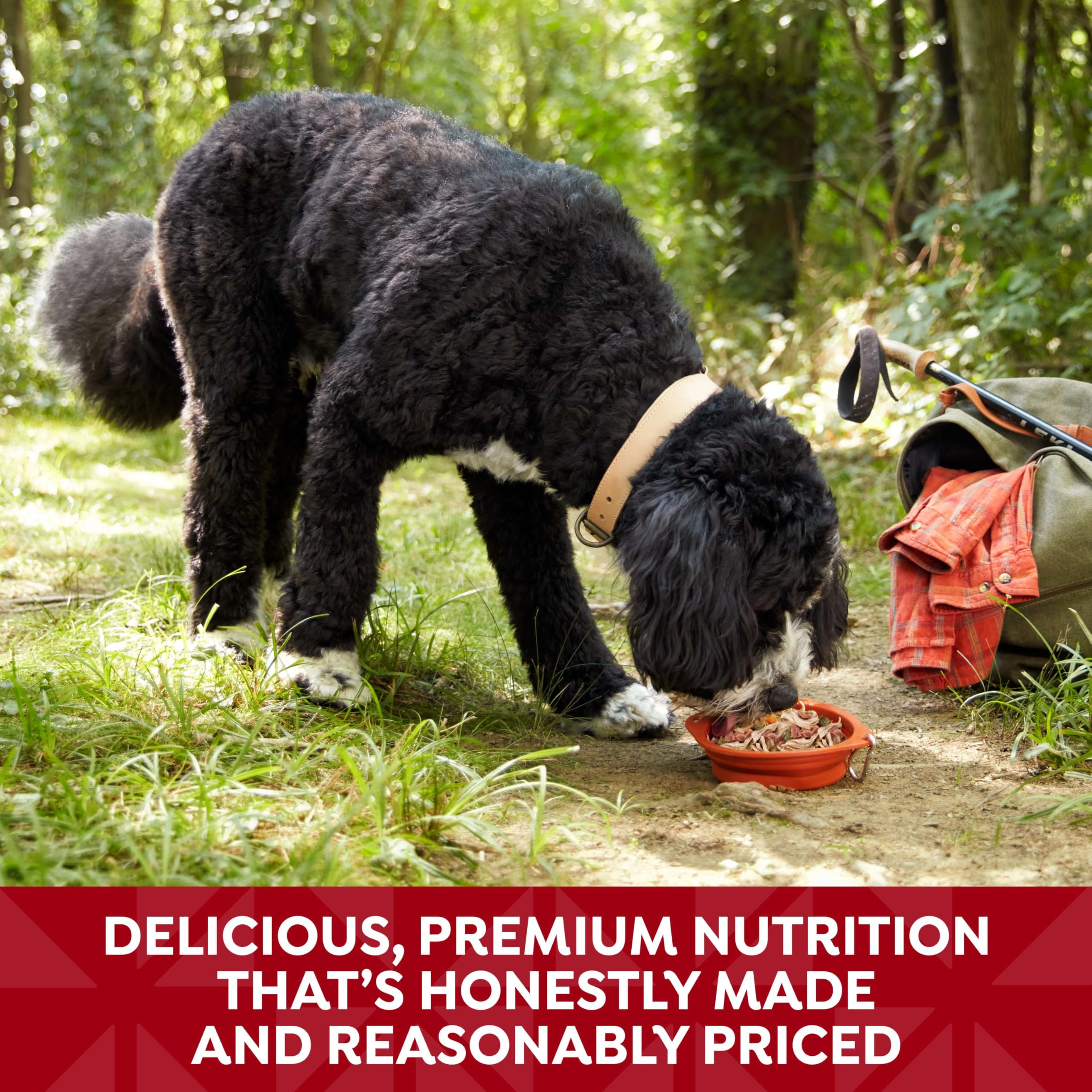 Serving in a bowl shows premium nutrition for adult dogs.