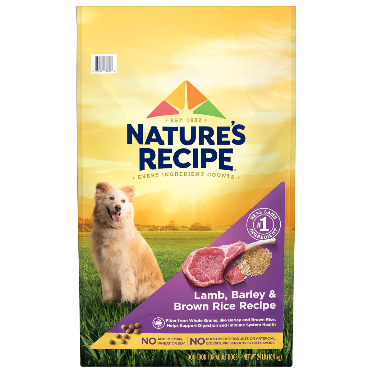 Nature's Recipe lamb-brown-rice dry dog food bag front highlights premium protein.