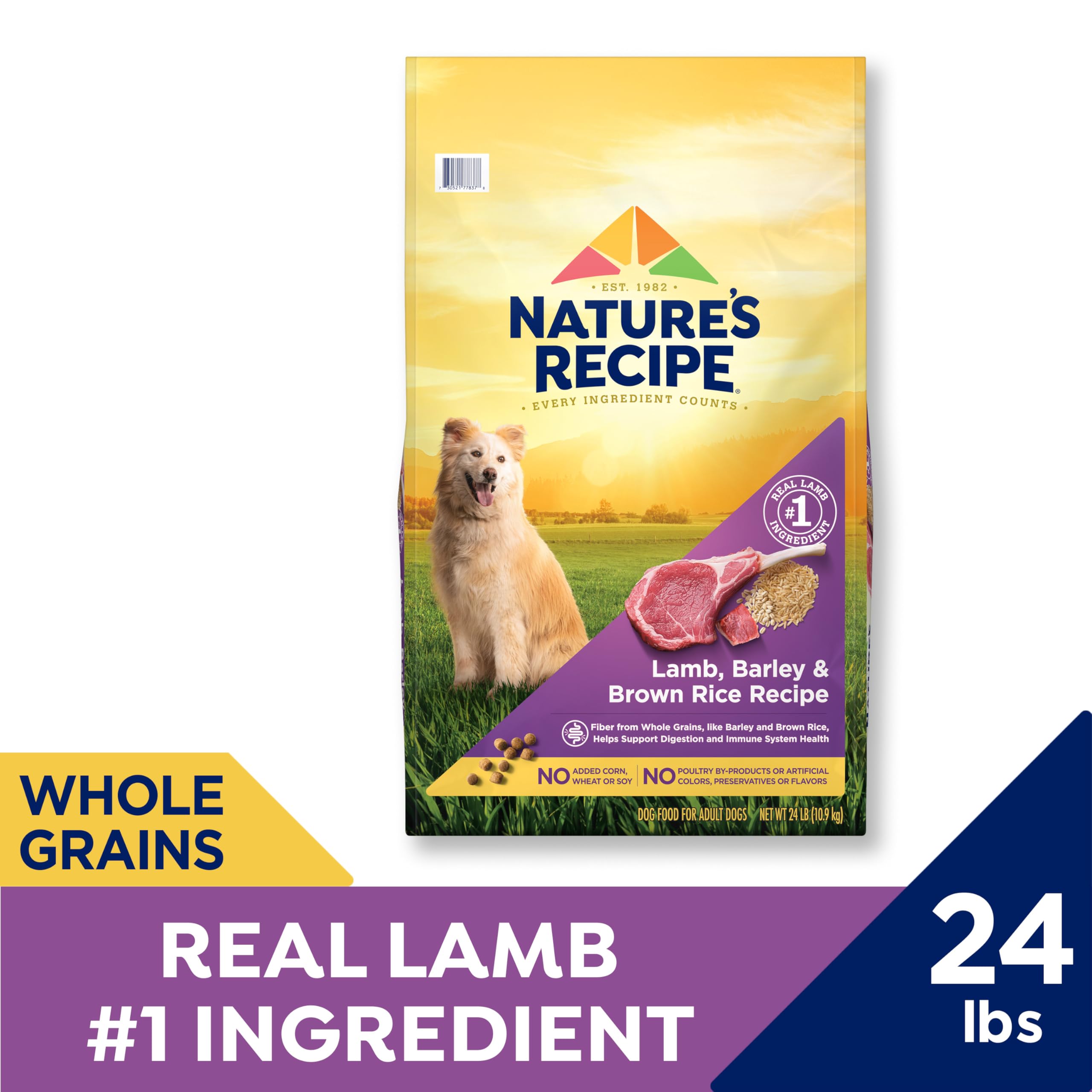 Nature's Recipe lamb kibble close-up shows crunchy texture and quality protein.