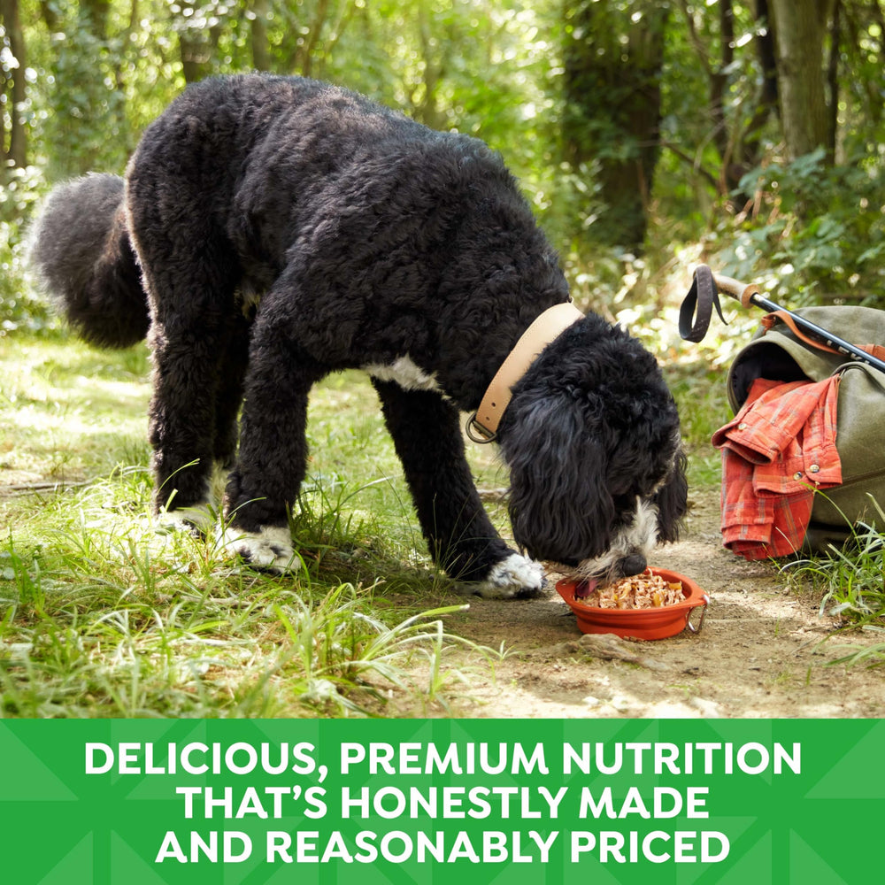 Nature’s Recipe premium nutrition closeup—transparent ingredients for informed choices.
