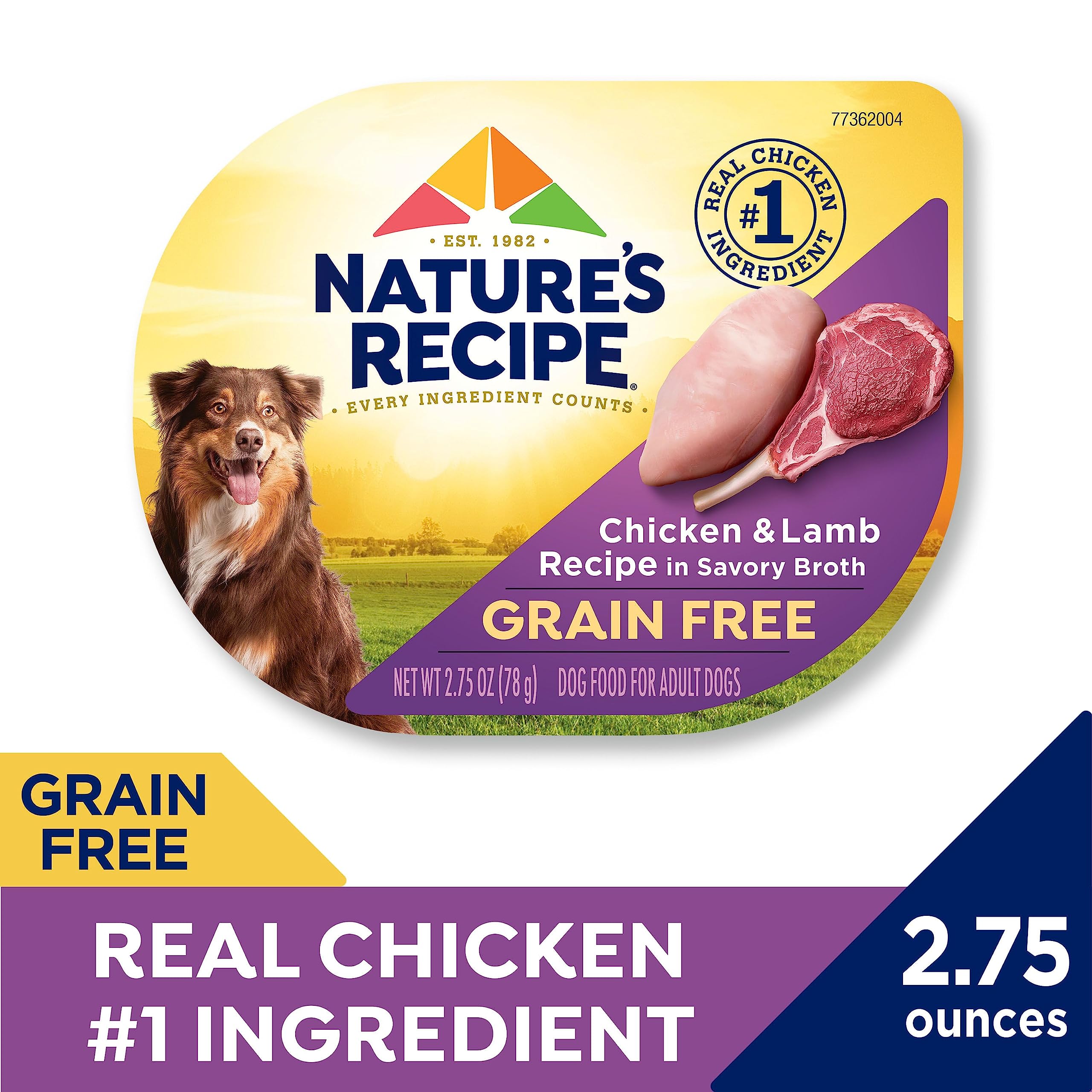 Nature's Recipe wet dog food in a bowl, ready to serve to adult dogs.