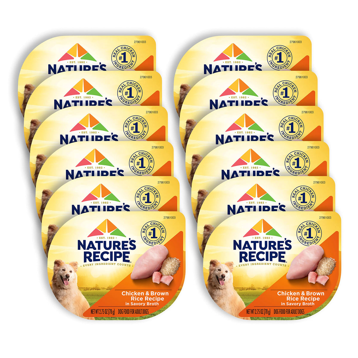 Nature's Recipe wet dog food cup showing real chicken in savory broth for adult dogs.