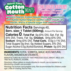 Nature's Stance Xylitol Mints pack back showing label and ingredients