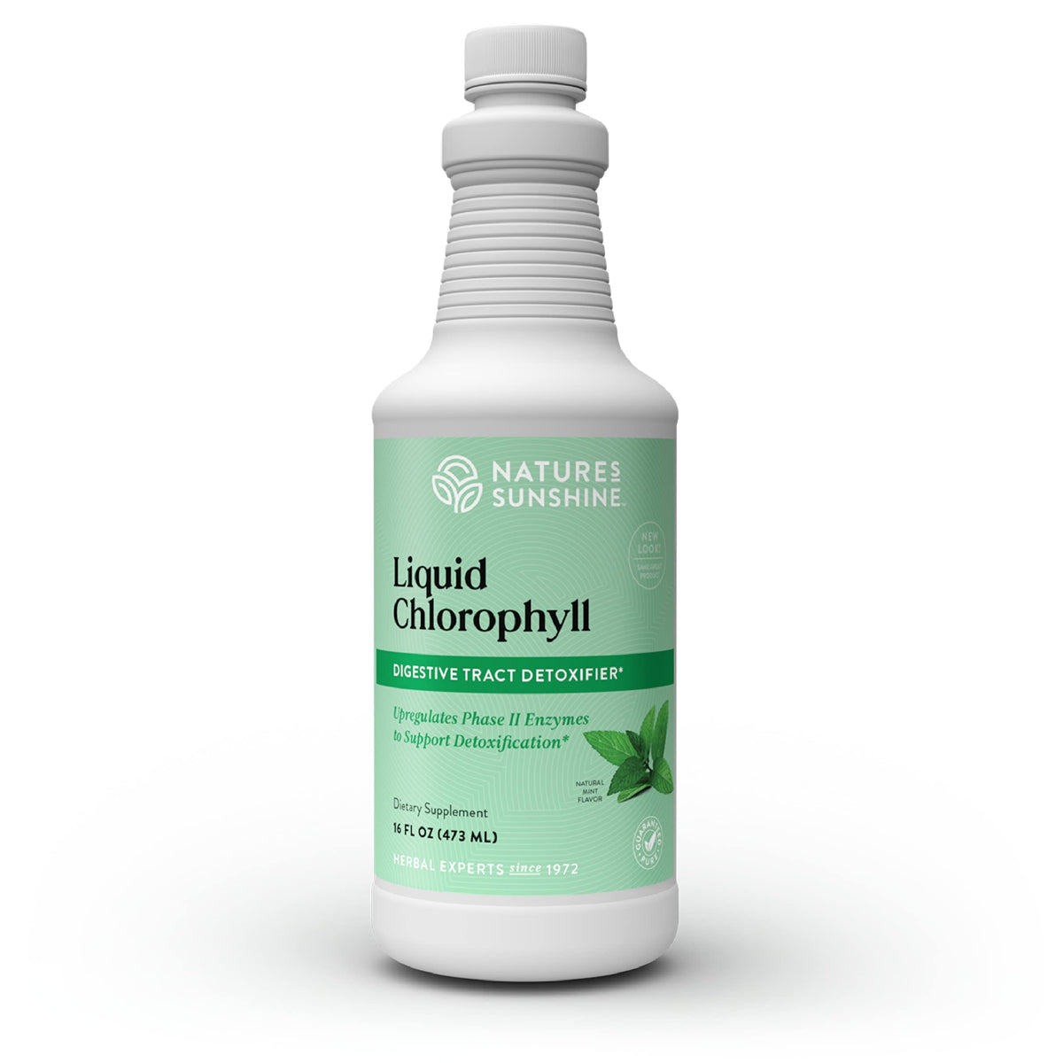 Nature's Sunshine Liquid Chlorophyll bottle poured for a refreshing daily detox ritual.
