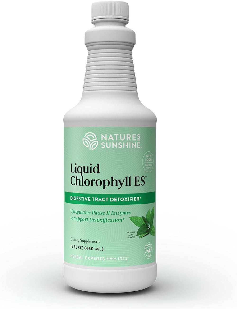 Nature's Sunshine Liquid Chlorophyll Extra Strength bottle label highlighting detox support