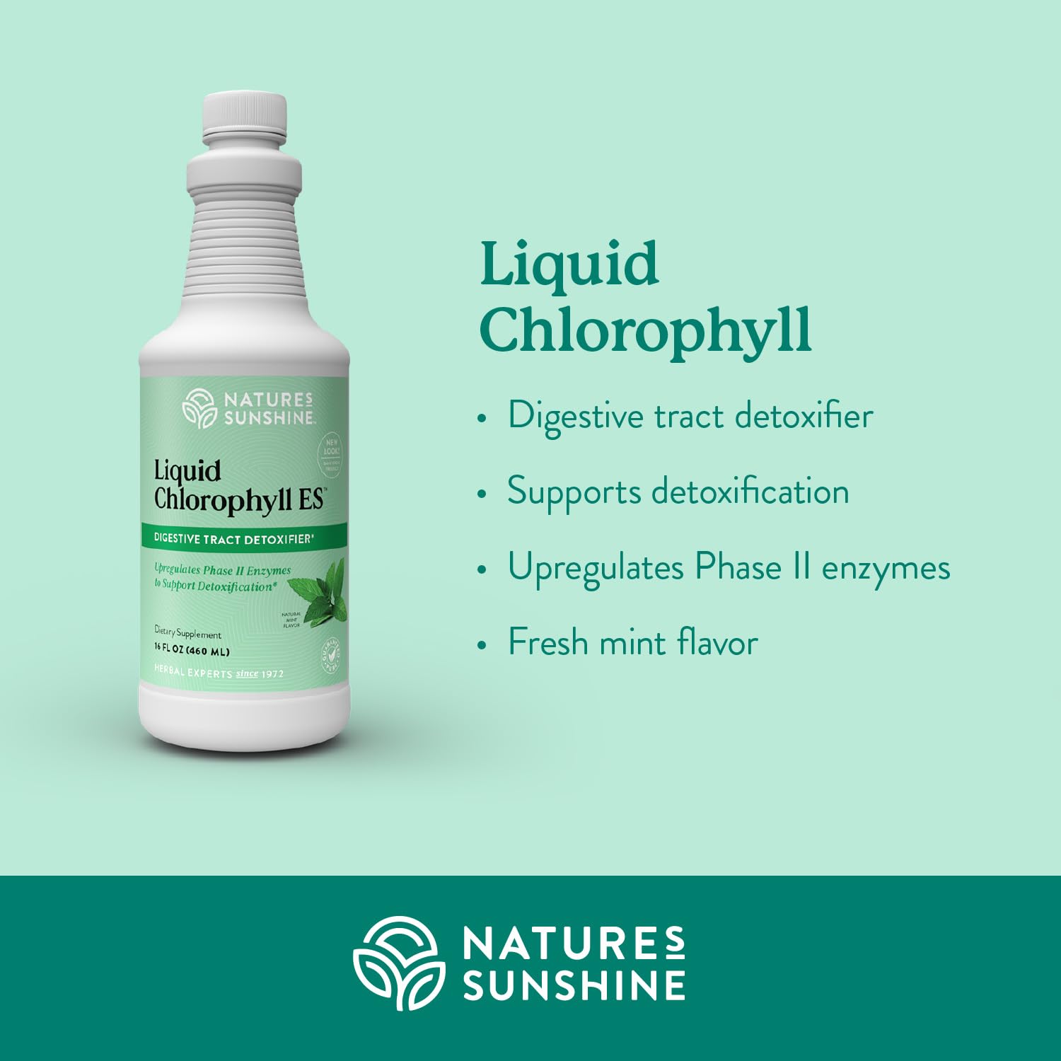 Nature's Sunshine Liquid Chlorophyll Extra Strength glass bottle with spearmint aroma