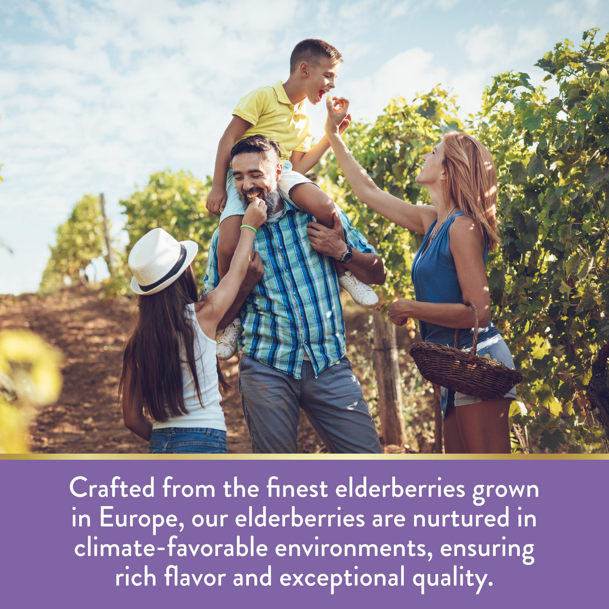 Nature's Truth gluten-free label on packaging highlighting clean, dairy-free formulation.