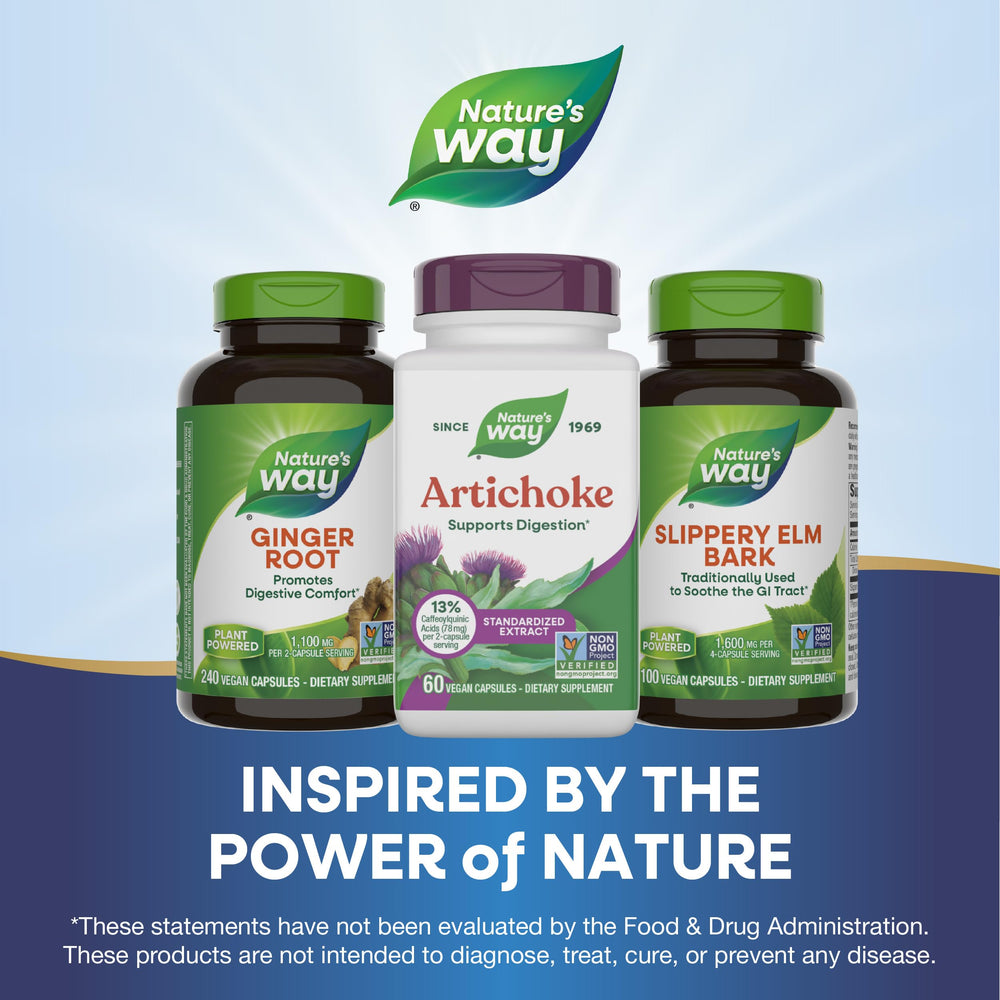 Nature's Way Artichoke 2-capsules daily dose shown