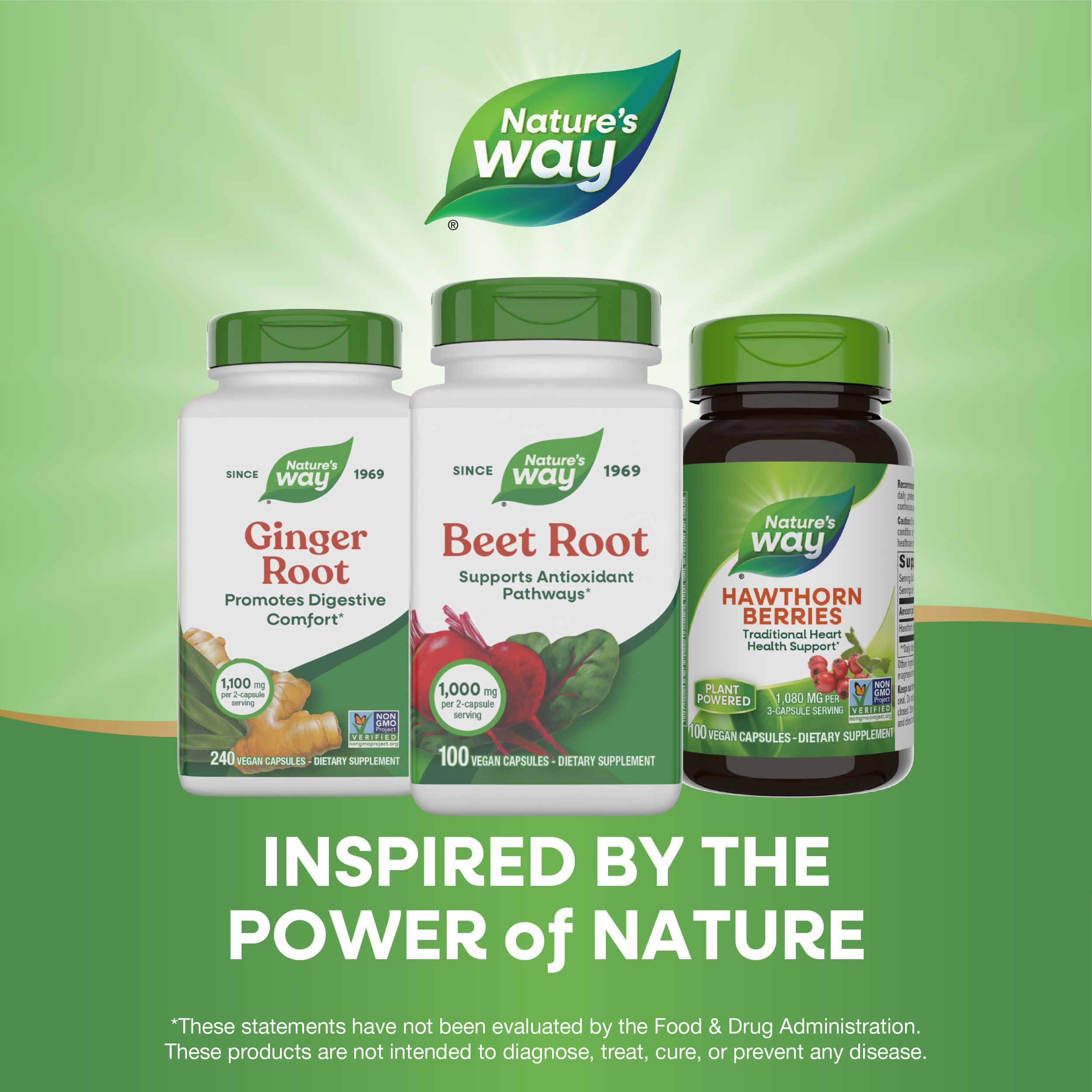 Nature's Way Beet Root ingredients panel close-up for transparent nutrition.