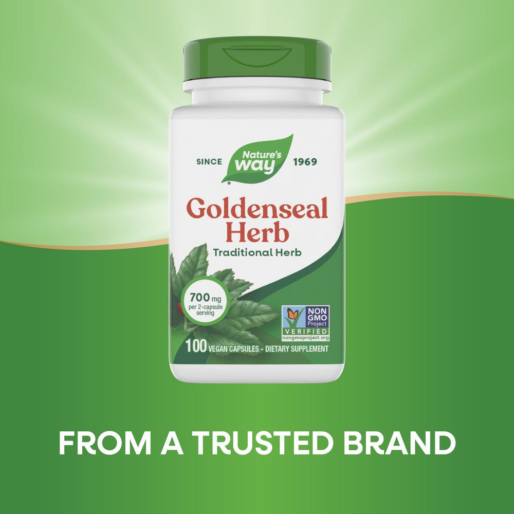 Nature's Way Goldenseal bottle on kitchen counter for daily routine.