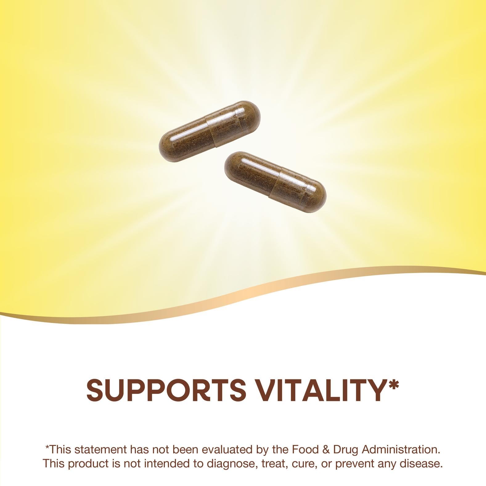 Close-up of Nature's Way Gotu Kola capsules; vegan and gluten-free daily wellness