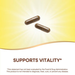 Close-up of Nature's Way Gotu Kola capsules; vegan and gluten-free daily wellness