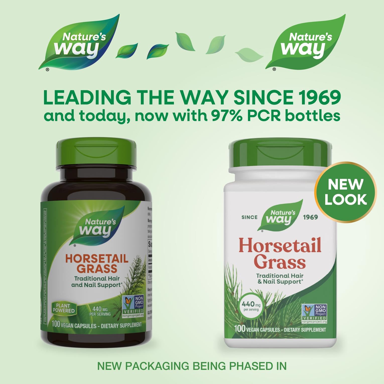 Nature's Way Horsetail Grass capsules close-up showing 440 mg per serving potency
