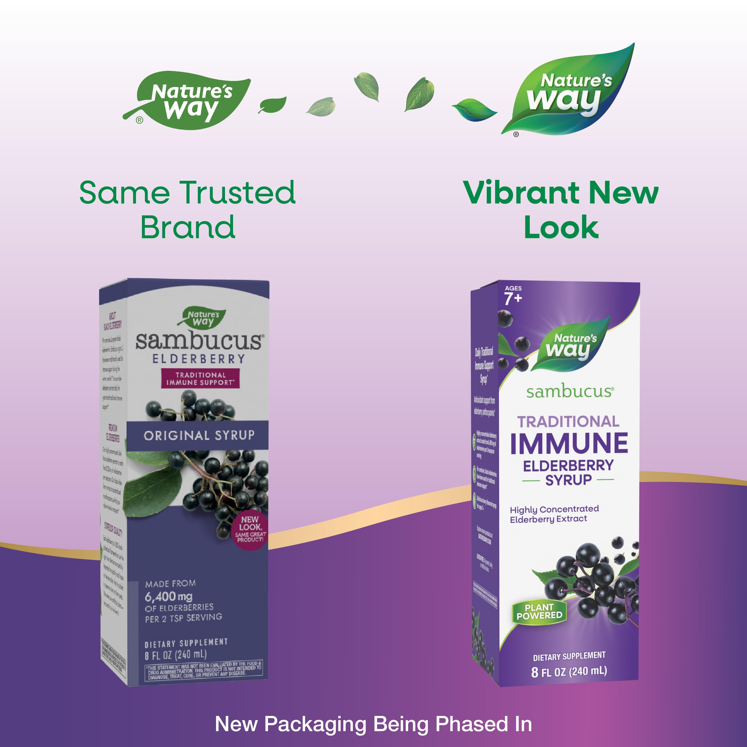 Nature's Way Sambucus label close-up showing elderberry extract.