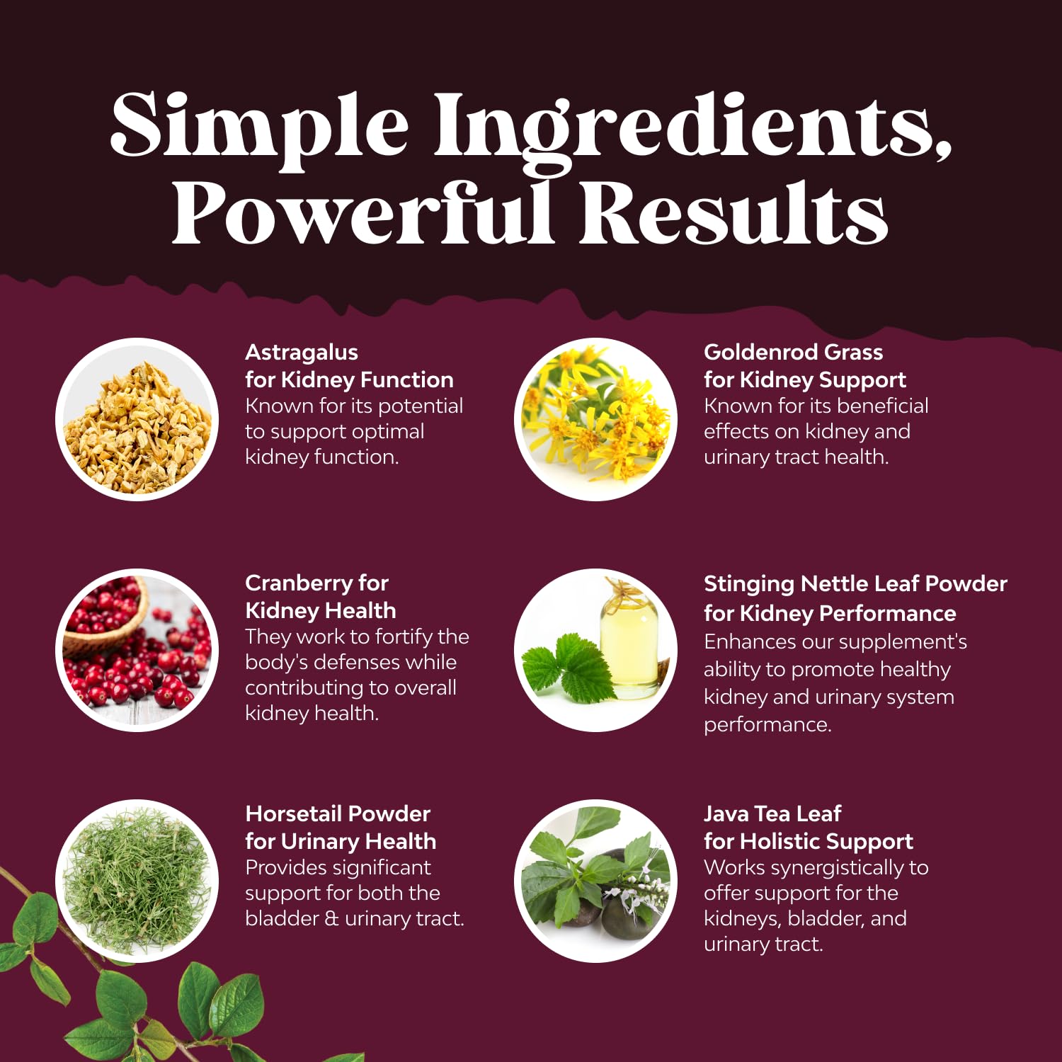 Nature's Craft Kidney Cleanse capsules lined up for daily use and routine support