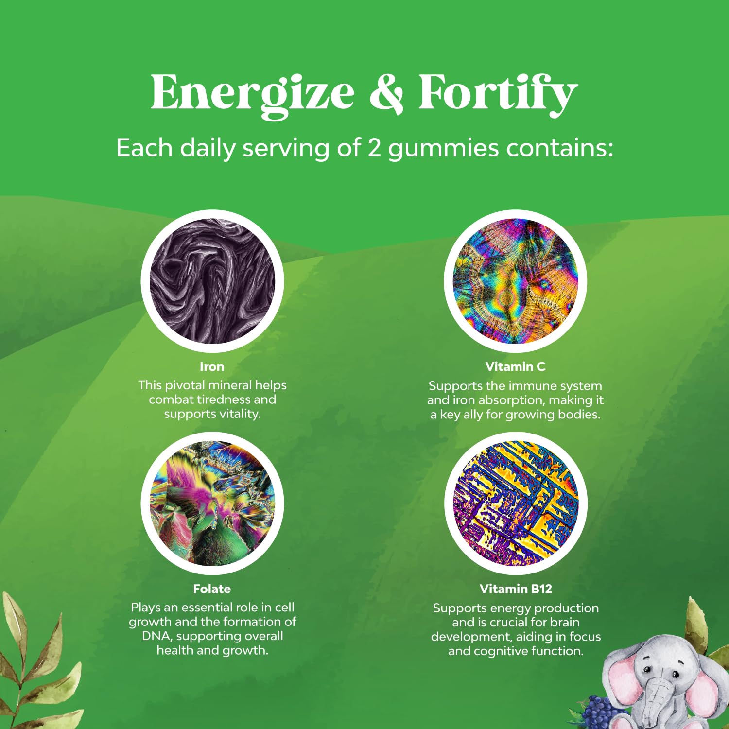 Natures Craft Kids Iron Gummies on family table during mealtime routine