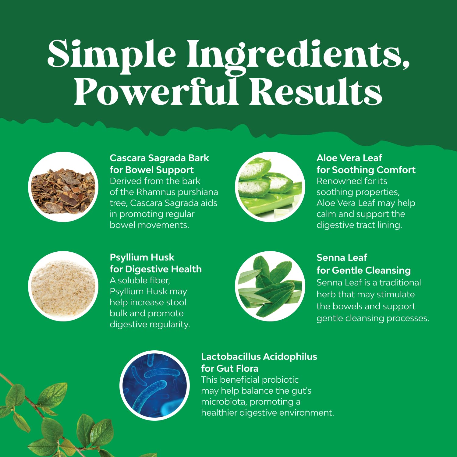 Natures Craft probiotics bottle closeup illustrating gut health benefits.