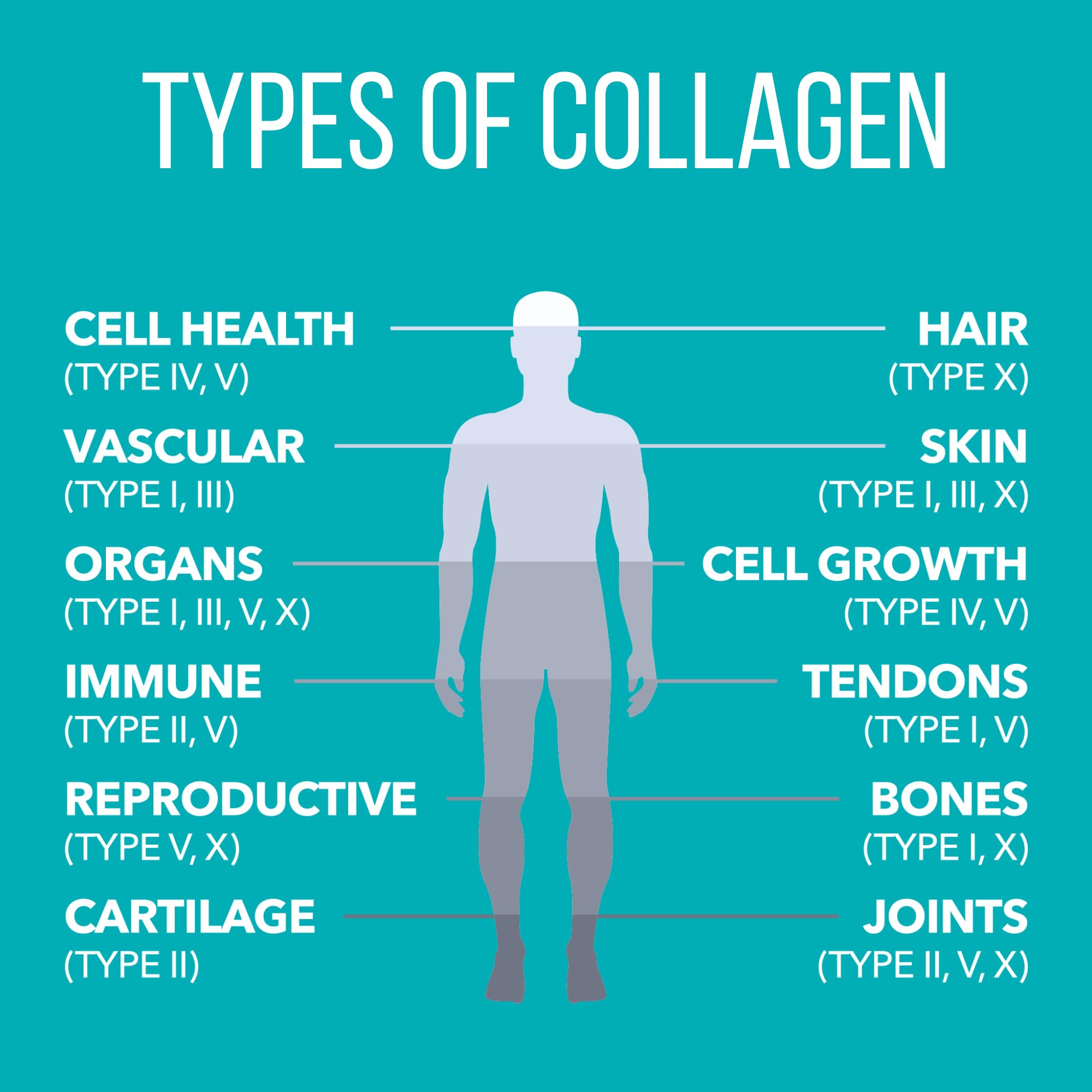Nature's Plus Collagen Peptides for hair, skin, and nails support.