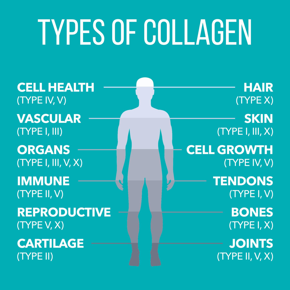 Nature's Plus Collagen Peptides for hair, skin, and nails support.