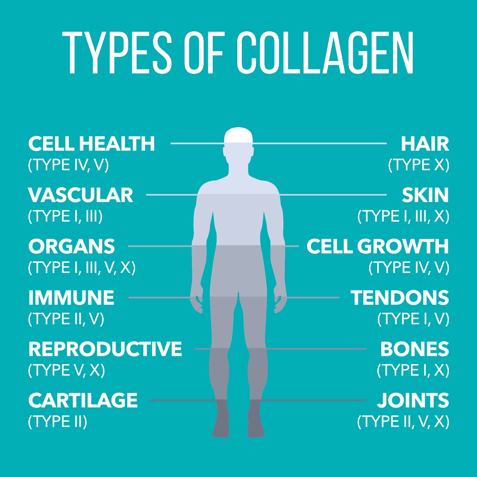 NaturesPlus Collagen Peptides included scoop for measured servings