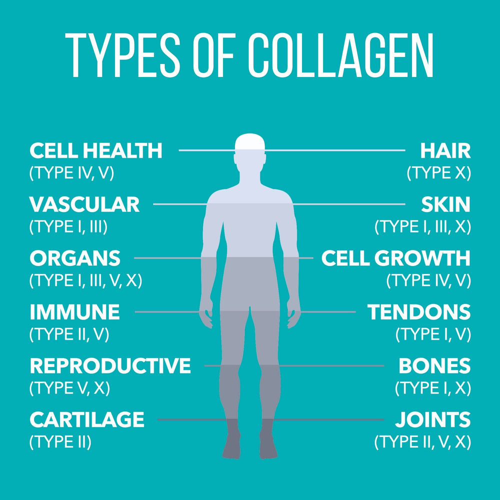 NaturesPlus Collagen Peptides included scoop for measured servings