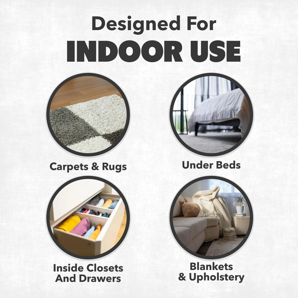 NatureStop Carpet Beetle Killer Spray mist offers fast indoor results.