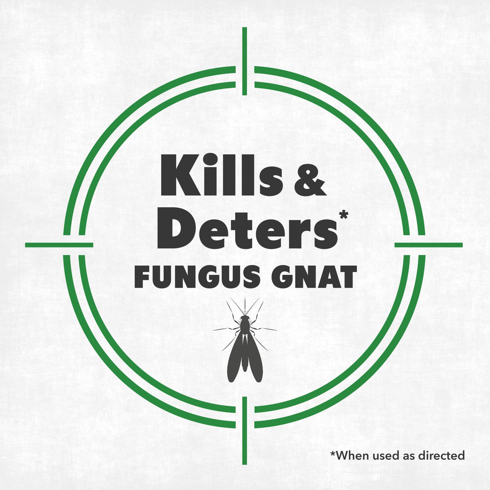 NatureStop Fungus Gnat Killer Spray application targets gnats and larvae in potted plants.