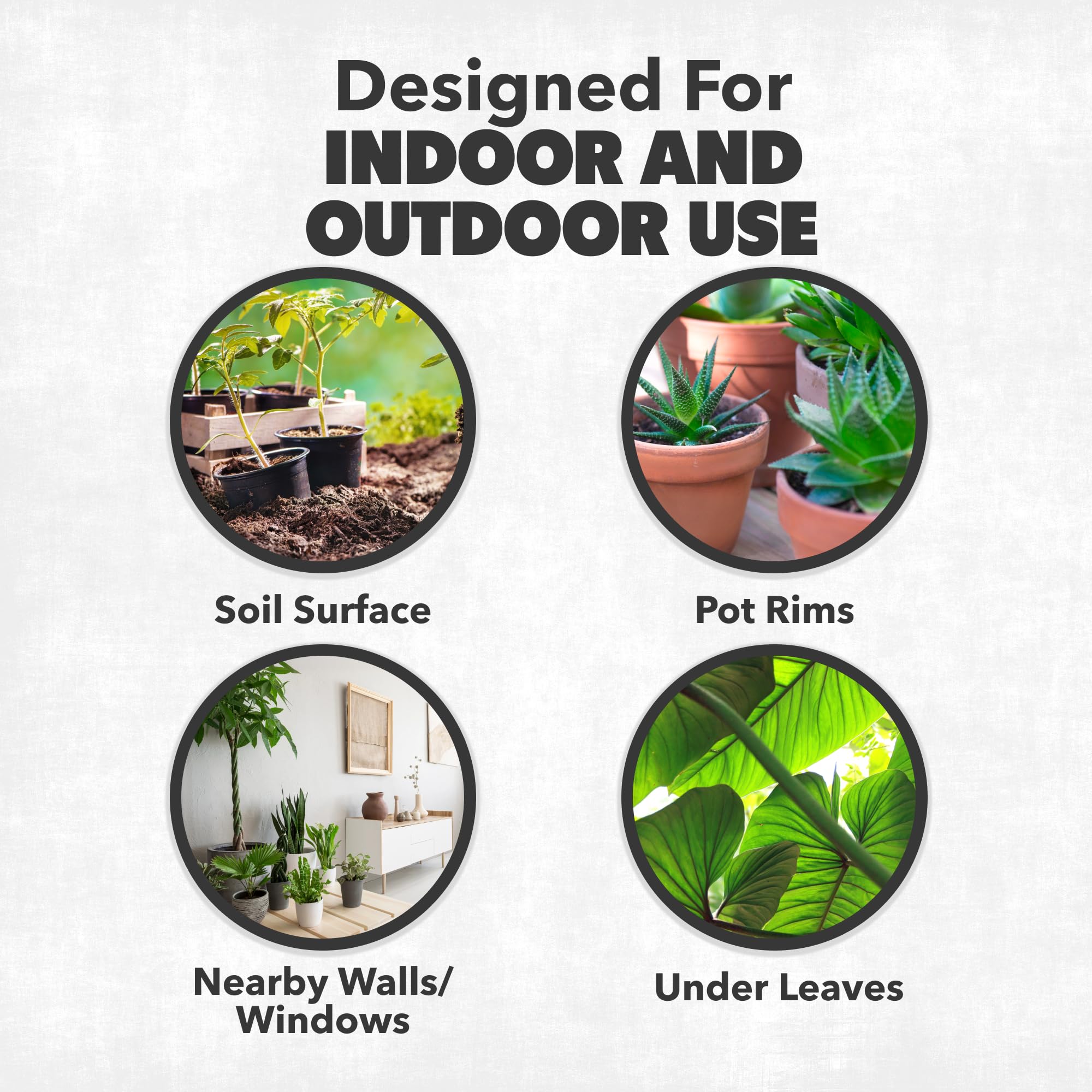 NatureStop Fungus Gnat Killer Spray eco bottle; made in the USA with trusted ingredients.