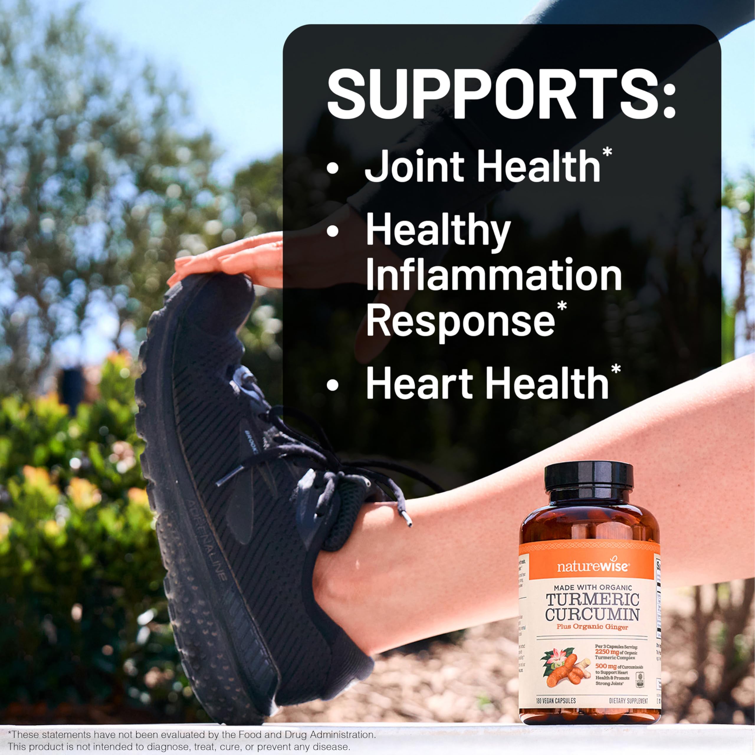 NatureWise Curcumin Turmeric ginger root close-up illustrating synergy