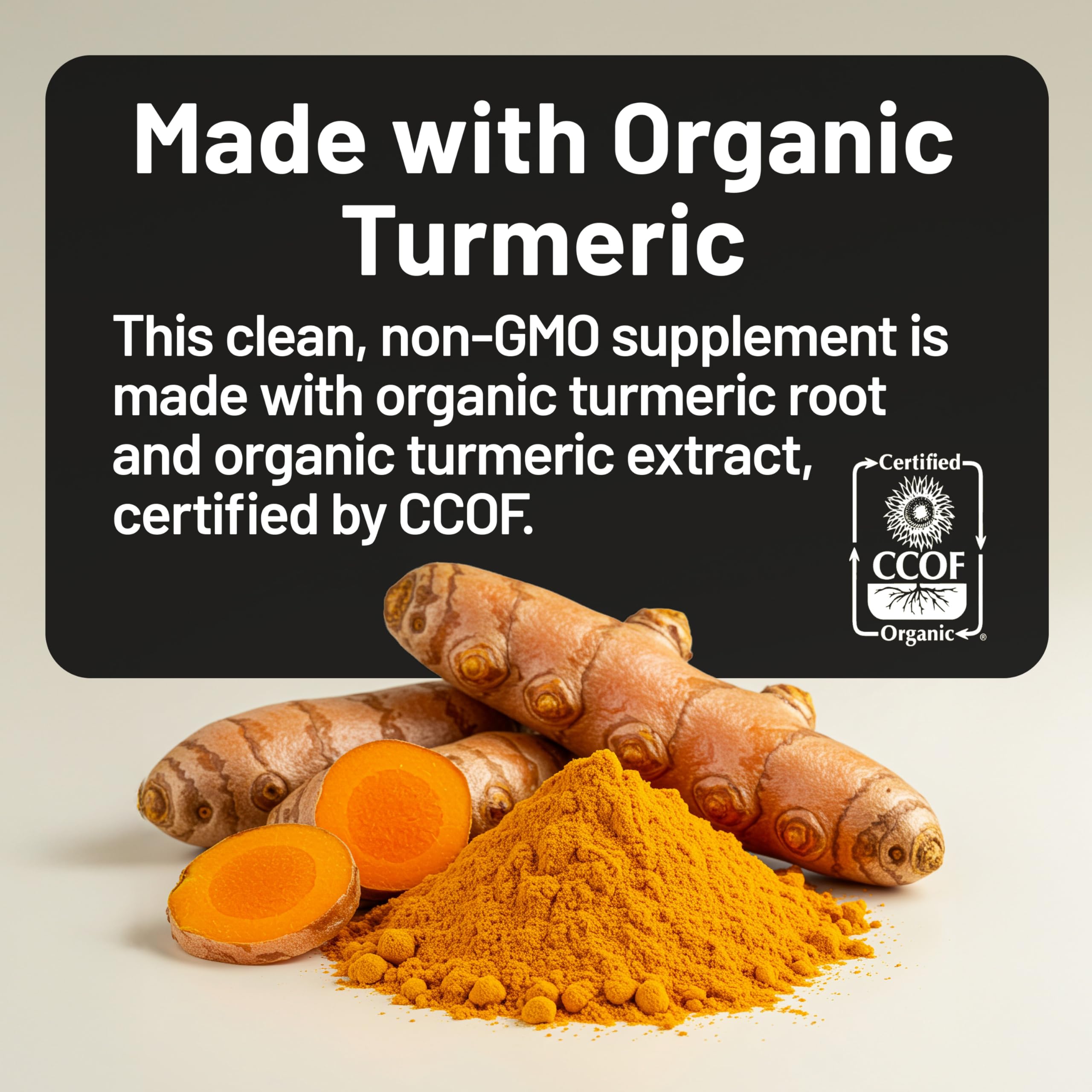 NatureWise Curcumin Turmeric ingredients close-up showing organic turmeric and ginger for daily vitality