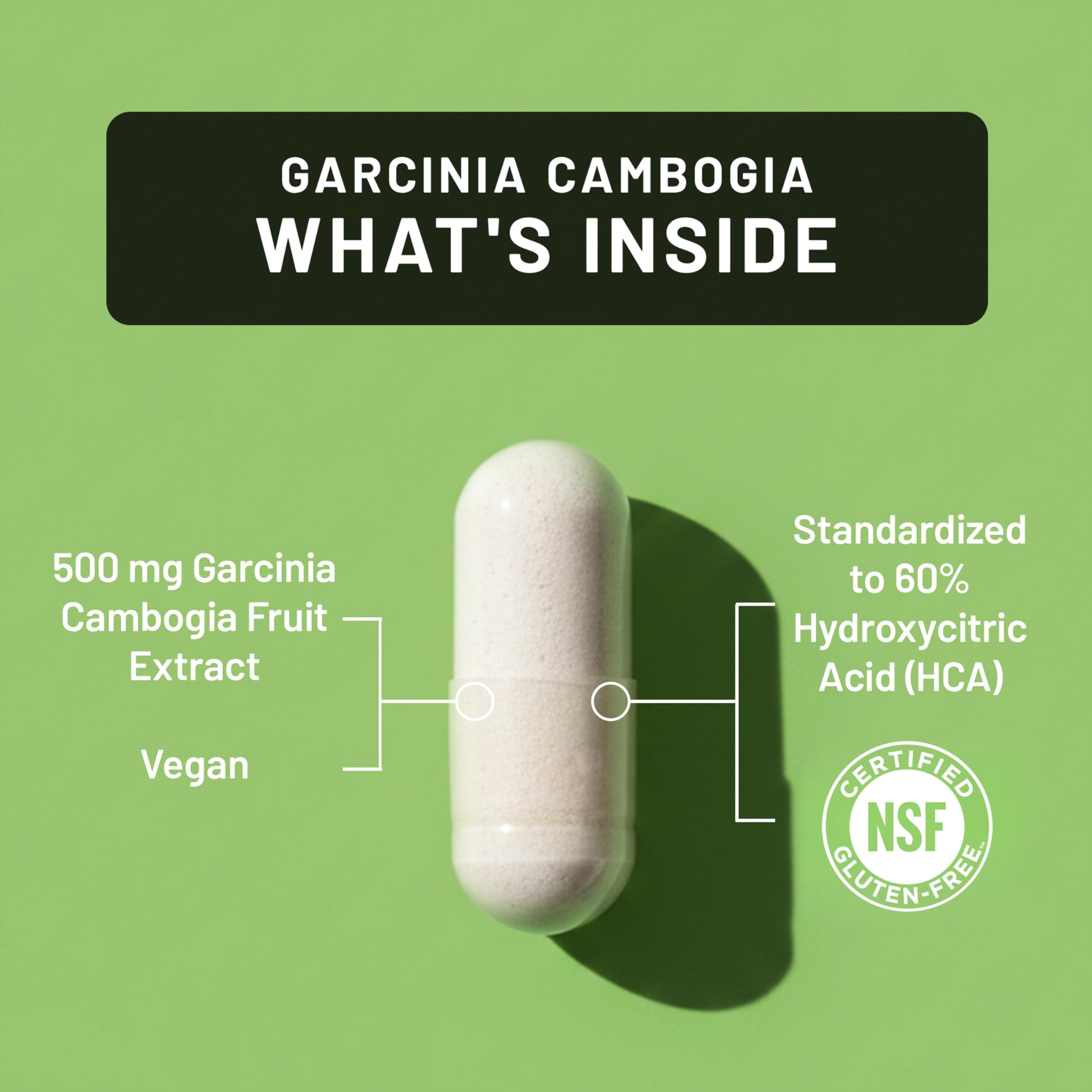 NatureWise Garcinia Cambogia 60% HCA label close-up showing potency.