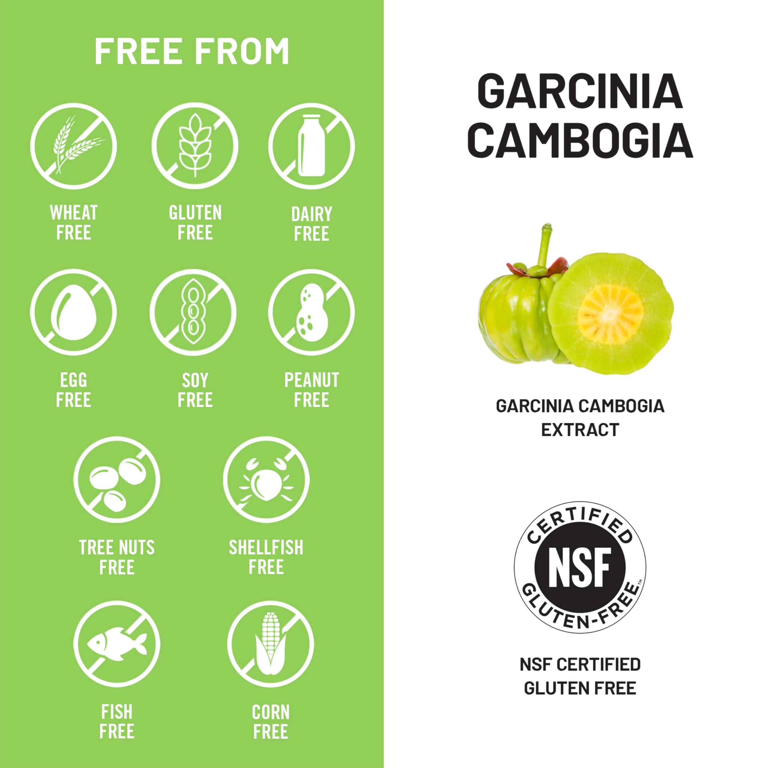 Made in USA label on NatureWise Garcinia Cambogia bottle.